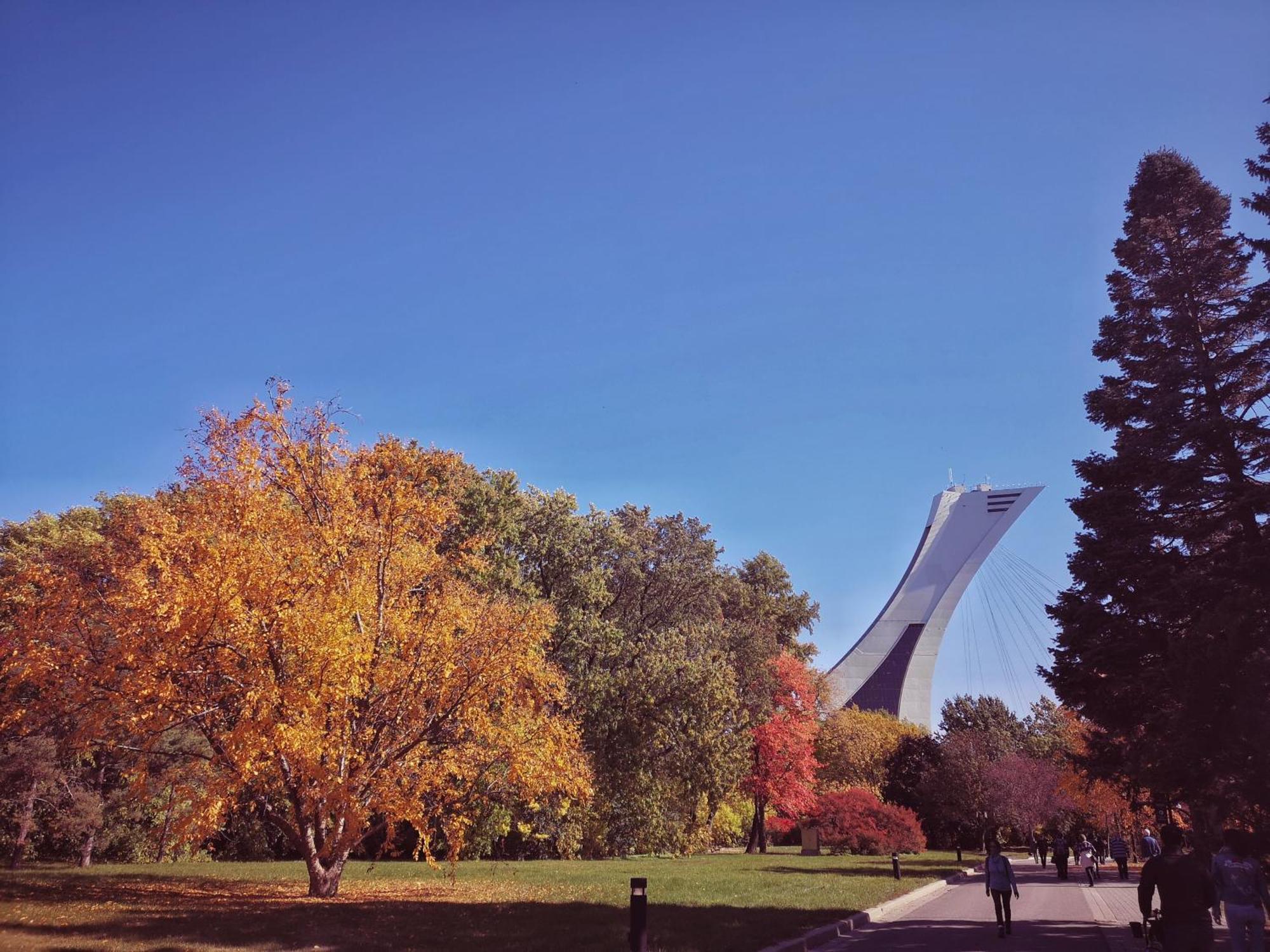 Homa Homestay Hotel By Olympic Stadium Montreal Auberge-Hostel Zewnętrze zdjęcie